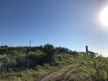 Agricultural Land