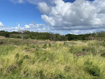 Agricultural Land