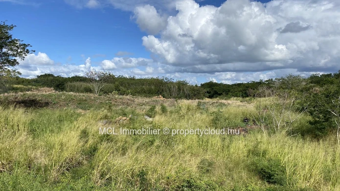 Terrain agricole d'un arpent à vendre à Anse la raie