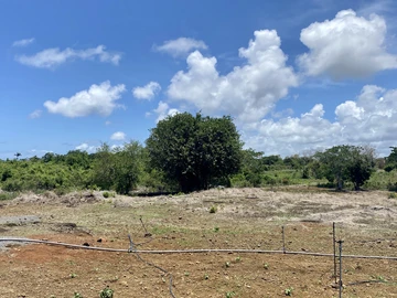Agricultural Land
