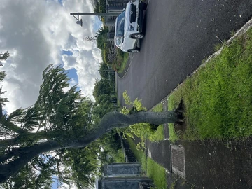 Land