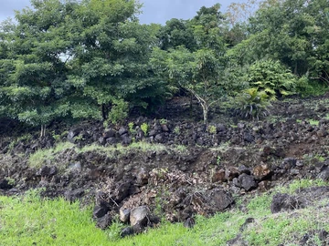 Agricultural Land