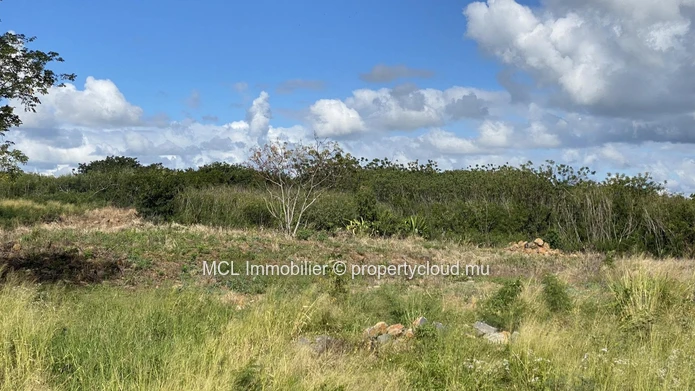 Terrain agricole d'un arpent à vendre à Anse la raie