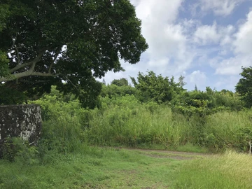 Agricultural Land