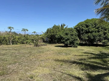 Terrain