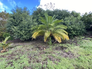 Agricultural Land