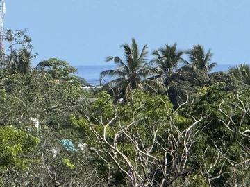 Terrain