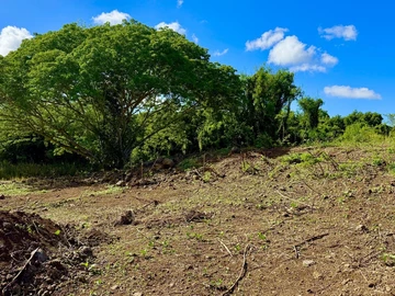 Agricultural Land
