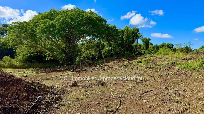 Daruty Forest Charmoses — Magnificent plot nestled in a preserved and secure natural environment