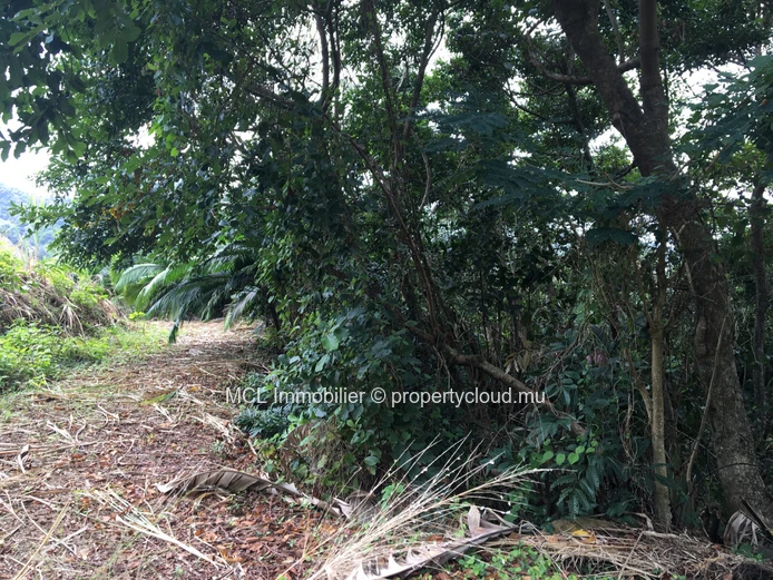 Agricultural land of 39,761 m2 in Anse Jonchee