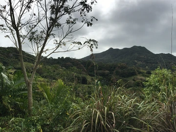 Agricultural Land