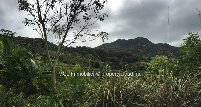 Agricultural land of 39,761 m2 in Anse Jonchee