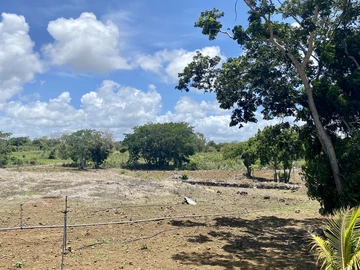 Agricultural Land