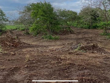 Agricultural Land