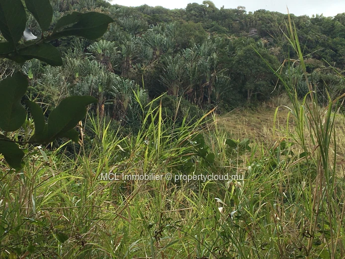 Agricultural land of 39,761 m2 in Anse Jonchee