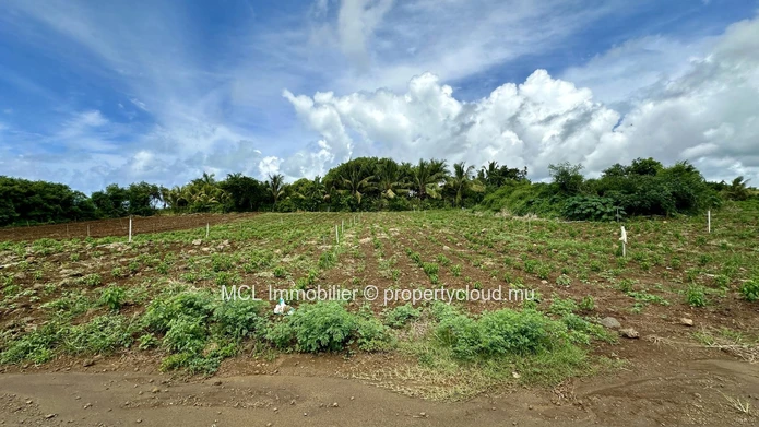 57 perches of agricultural land for sale at Domaine l'Ile d'Ambre .