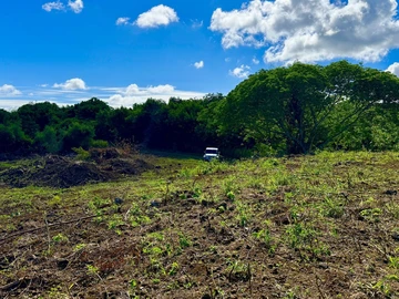 Agricultural Land