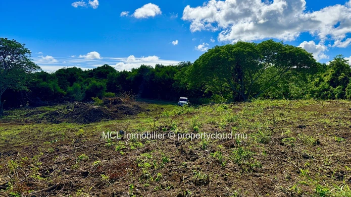 Daruty Forest Charmoses — Magnificent plot nestled in a preserved and secure natural environment
