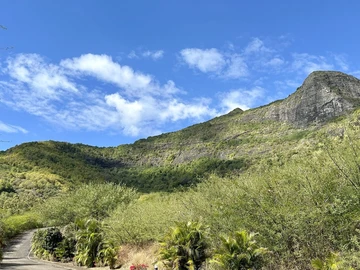 Terrain