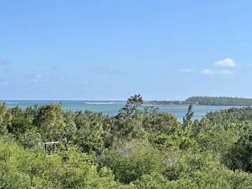 Agricultural Land