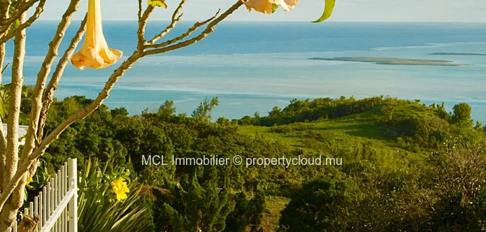 Guest House , Rodrigues