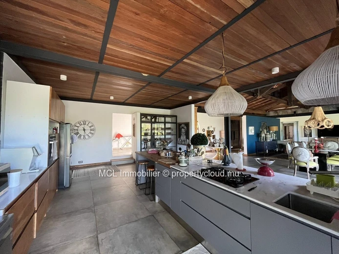 Magnificent 450m2 luxury property 
