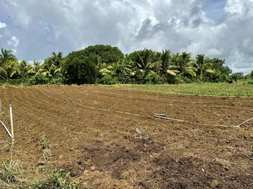 Agricultural Land