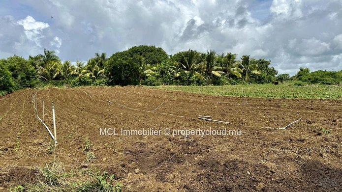 57 perches of agricultural land for sale at Domaine l'Ile d'Ambre .
