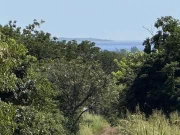 Terrain