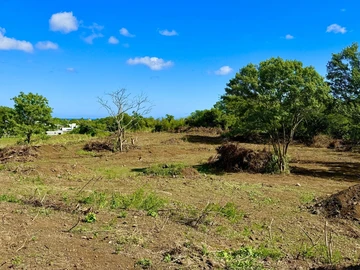 Agricultural Land