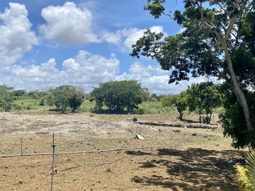 Agricultural Land