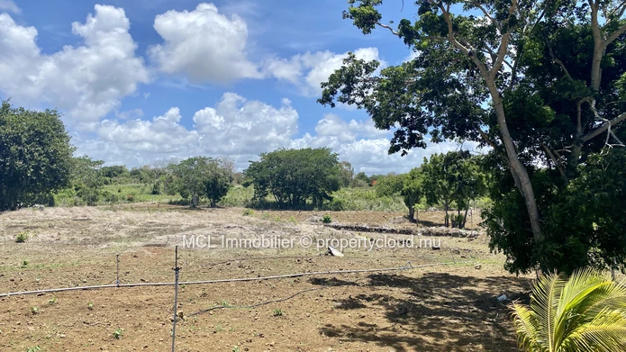 Agricultural land 6,234m2 in St Antoine