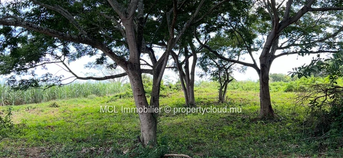 Daruty Forest Charmoses — Magnificent plot nestled in a preserved and secure natural environment
