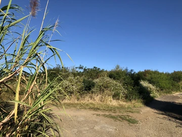 Agricultural Land