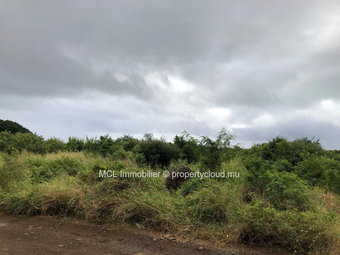 Agricultural land of 5,048m2 in St Antoine