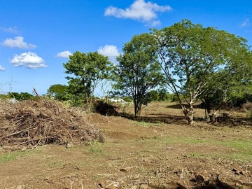 Agricultural Land