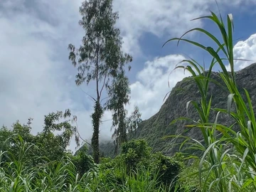 Land