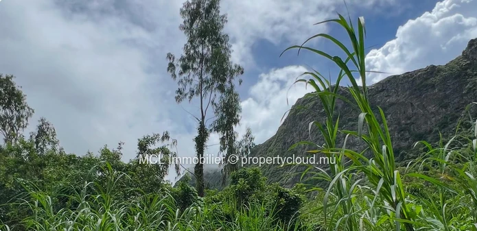 Exceptional Land for Sale in a Prime Location , Mount Ory, Moka.