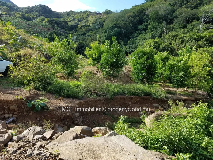 Terrain agricole de 73,958.68m2 à Bambous Virieux