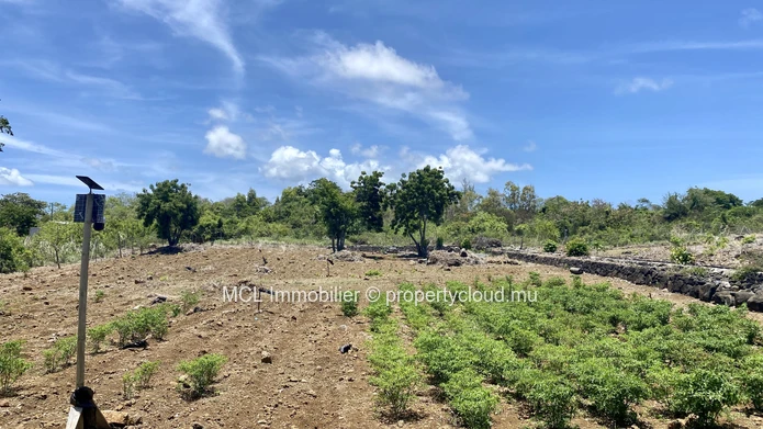 Agricultural land 6,234m2 in St Antoine