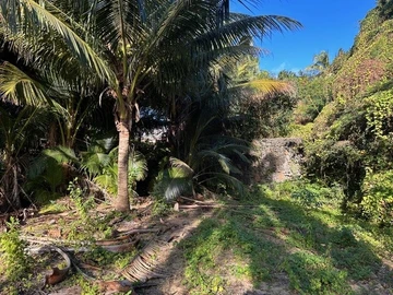 Terrain